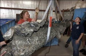 Wendy Welsh, left, QAR conservator and lab manager, and Shanna Daniel, QAR project conservator, steady the cannon as it is moved from the transport trailer to the holding tank. 