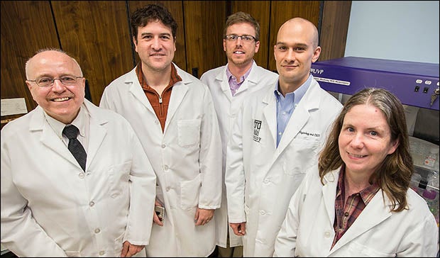 Researchers involved in the study included, from left, Jimmy Efird, Ethan Anderson, Timothy Darden, Stephen Davies and Kathleen Thayne.