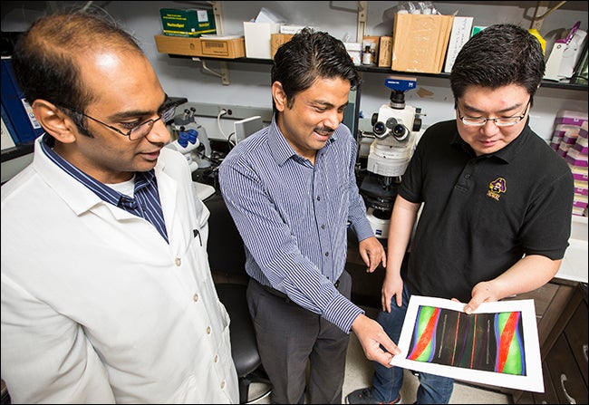 Pictured below in the lab, left to right, are research specialist Akarsh Manne, MD Motaleb and doctoral student Kihwan Moon.