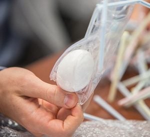Students had a limited budget of supplies like plastic bags and straws to protect their egg, which helped them learn how to provide the best care at the lowest cost.