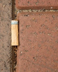 A discarded cigarette butt lies on a campus walkway.