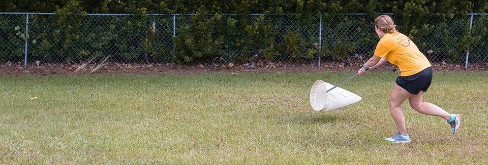 Recent ECU alumna Beth Wantz catches a beetle in a sweep net.