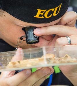 Workshop participant Evan Hamilton uses a loupe to examine part of a mud dauber nest.