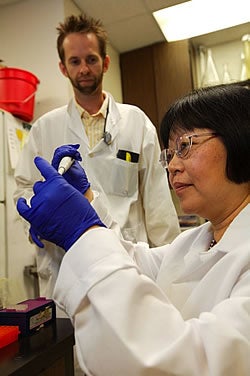 Dr. Yan-Hua Chen works in her lab as research specialist Rodney Tatum looks on. Photo by Cliff Hollis