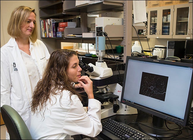 Sonja Bareiss, standing, and ECU physical therapy doctoral student Morgan Haskins study the microscope image of a sensory neuron.