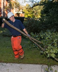 Facilities staff work to clear limbs felled by hurricane-force winds