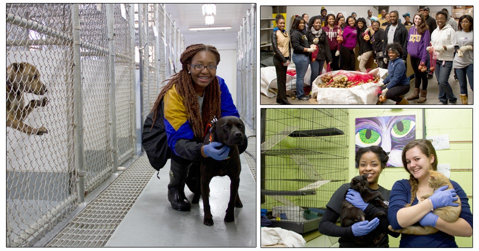 In addition to the Miller presentation, ECU celebrated Martin Luther King Jr. Day with a day of service in the community. Pictured above, students helped out at the Humane Society of Eastern Carolina and with the Food Bank of Central and Eastern Carolina. (Contributed photos)