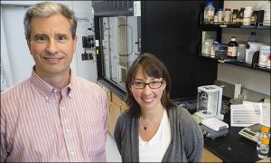 Joe Chalovich, left, a biochemist at the Brody School of Medicine, and Anne Spuches, right, an associate professor of chemistry, teamed up with ECU chemist Yumin Li and other researchers on a study of calcium binding in heart muscle.