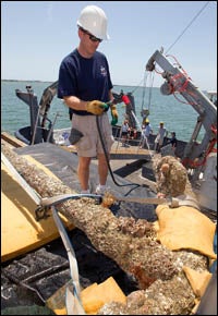 Myron Rolston, assistant conservationist at the QAR Conservation Lab at ECU, prepares the anchor for its journey to the lab near Greenville after it was lifted from the waters near Beaufort Inlet on May 27.