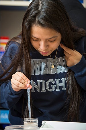 Middle school student Sandra Garcia fills photo trays with solution to acquire data on how flatworms respond to addictive substances.