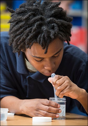 Riverside Middle School student T’san Griffin mixes ingredients for an experiment with flatworms.