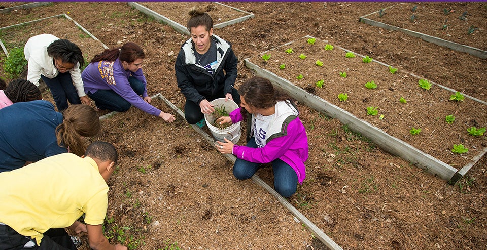 ECU students Jordan Hostetler, second from right, Kimberlain Childers, right, and Morgan Kunsman, third from right, weed a garden bed with middle school students at the Boys & Girls Club on Fire Tower Road in Greenville.