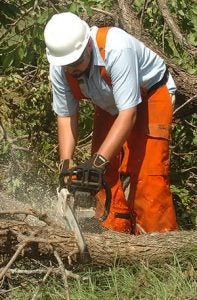 Robert Frizzell of the health sciences grounds department cuts up a tree that fell on the Brody School of Medicine campus Tuesday, Aug. 30.