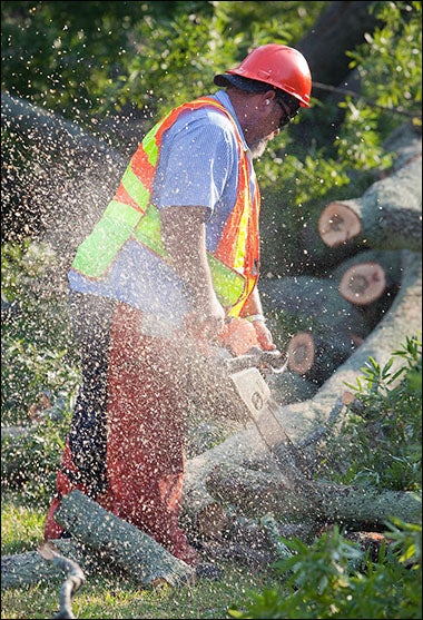 A severe thunderstorm in July 2012 toppled trees along Fifth Street near campus. ECU's Facilities Services personnel responded quickly to clear away the damage. (Photo by Cliff Hollis)