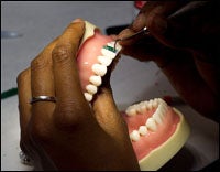 Dental students at the ECU School of Dental Medicine practiced their skills in a dental simulation lab Sept. 30. (Photo by Cliff Hollis)