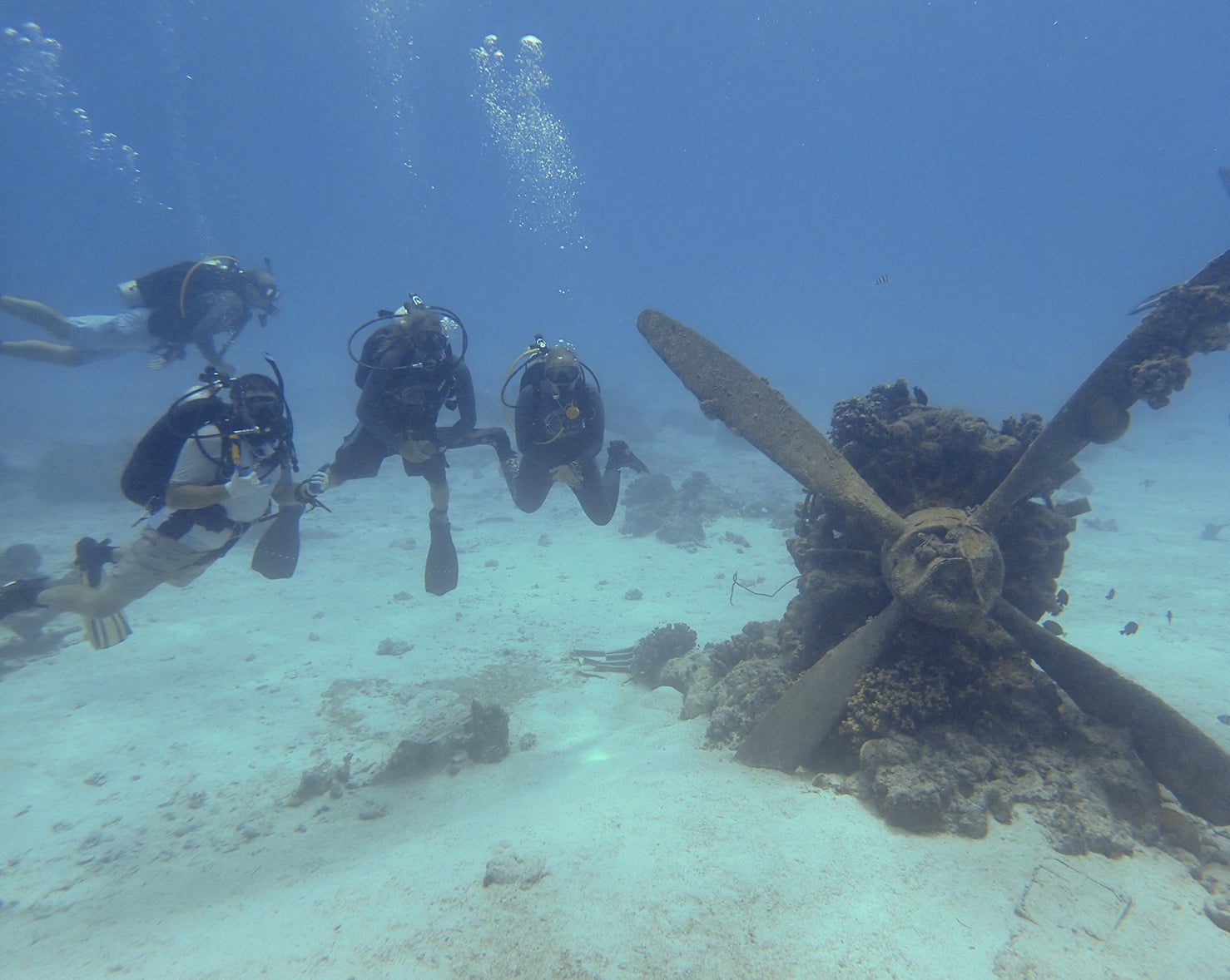 Students and staff visit the wreck site of a Japanese seaplane named "Emily." 