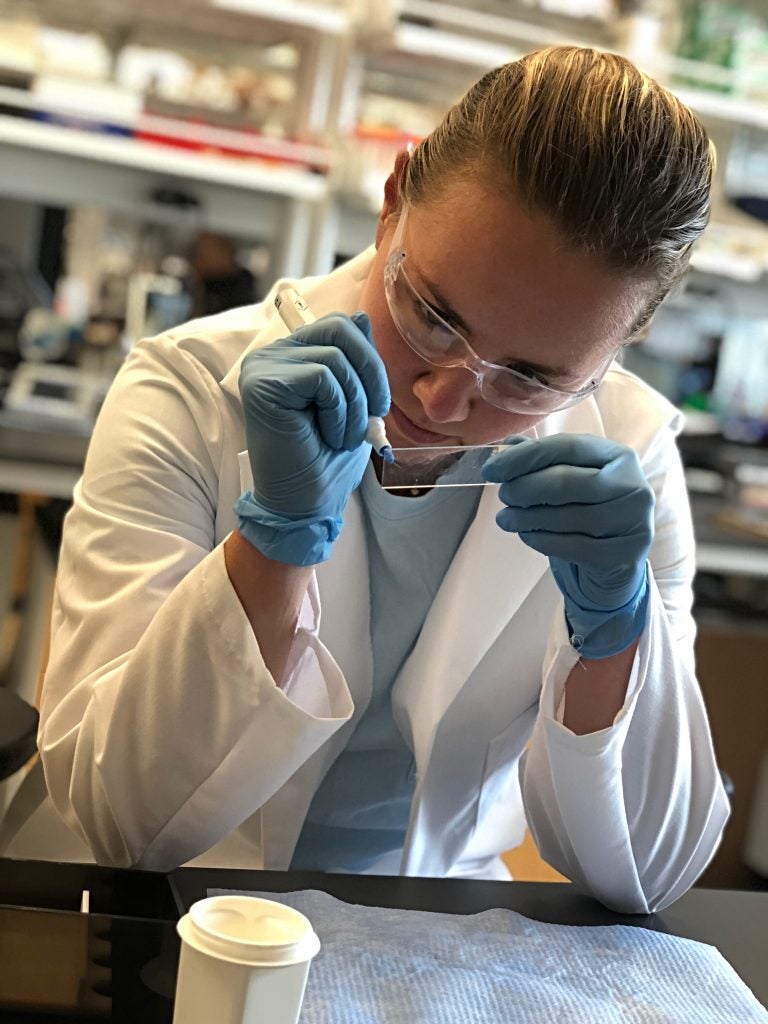 Chamberlin, seen here in the Brody School of Medicine Geyer Lab during the 2018 summer biomedical research program, is making hydrophobic dams around cryosectioned tissue in preparation to perform research via indirect immunofluorescence. 