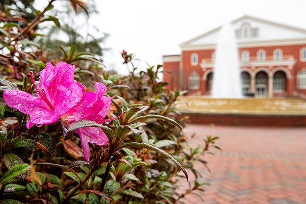 ECU has been ranked for its social and economic impact on U.N. sustainability development goals by the Times Higher Education.