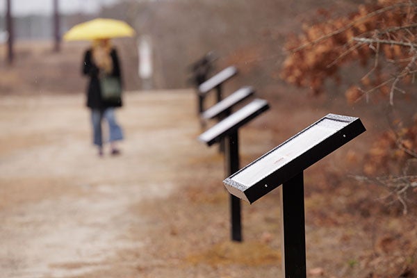 A person at Wildwood Park walks along a trail and reads large panel pages of the book “Bear Snores On.”