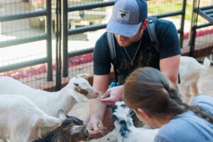 The Thomas D. Arthur Graduate School of Business wooed potential donors by bringing baby goats to campus. (Photo by Steven Mantilla)