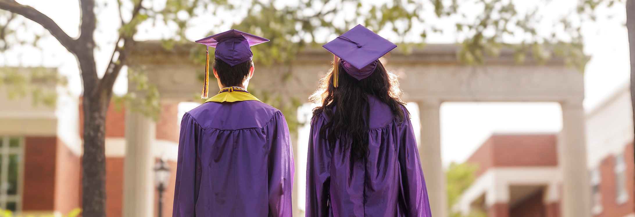 Two people with their back to the camera wear purple graduation caps and gowns.