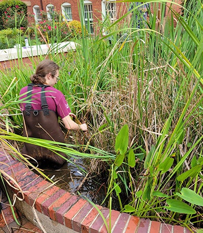 Zasha Griffin and a fellow volunteer, Brynn, standing to the right, wear waders and stand next to a plastic trash bin of vegetation removed from a pond outside of East Carolina University’s Old Cafeteria Complex.