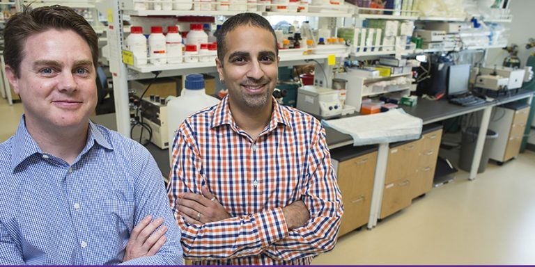 Dr. Dave Brown, left, and Dr. Raz Shaikh collaborated on an NIH grant that will enable them to study methods for protecting the heart during a heart attack. (Photos by Cliff Hollis)