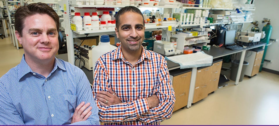 Dr. Dave Brown, left, and Dr. Raz Shaikh collaborated on an NIH grant that will enable them to study methods for protecting the heart during a heart attack. (Photos by Cliff Hollis)