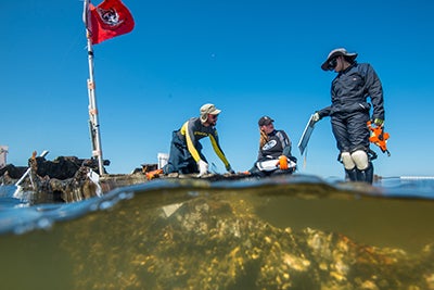 ECU graduate students map the stern of a shipwreck in the Pamlico Sound.