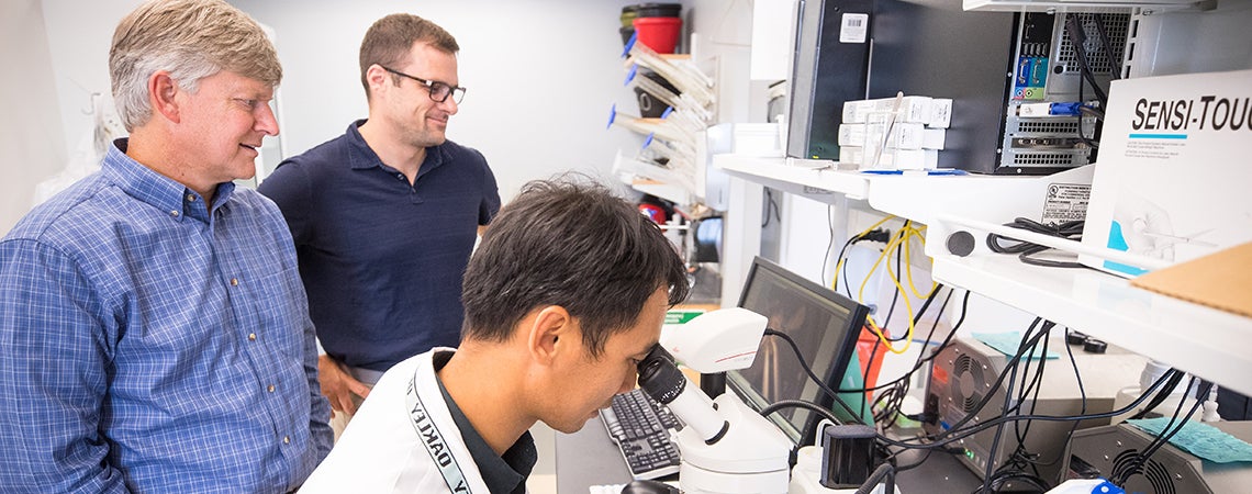 Dr. Darrell Neufer (from left), Dr. John Thyfault and Dr. Chien-Te Lin examine muscle tissue