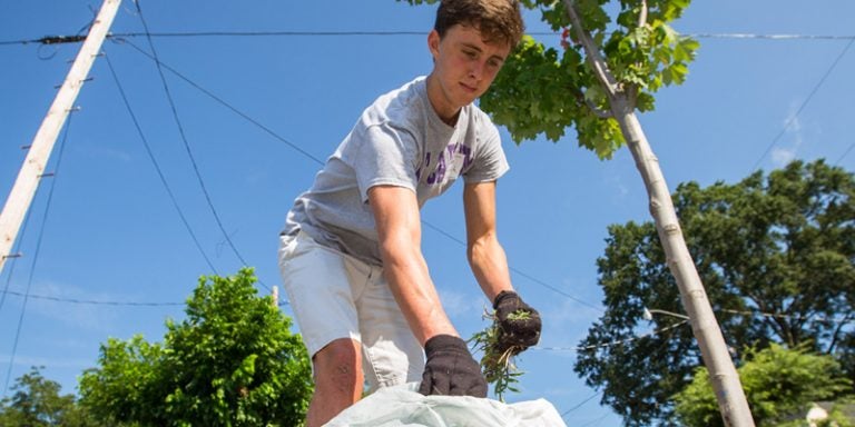 Honors College student Tristan Kosich works at the Community Crossroads Center in Greenville as part of the annual service day activities. (Photos by Cliff Hollis)