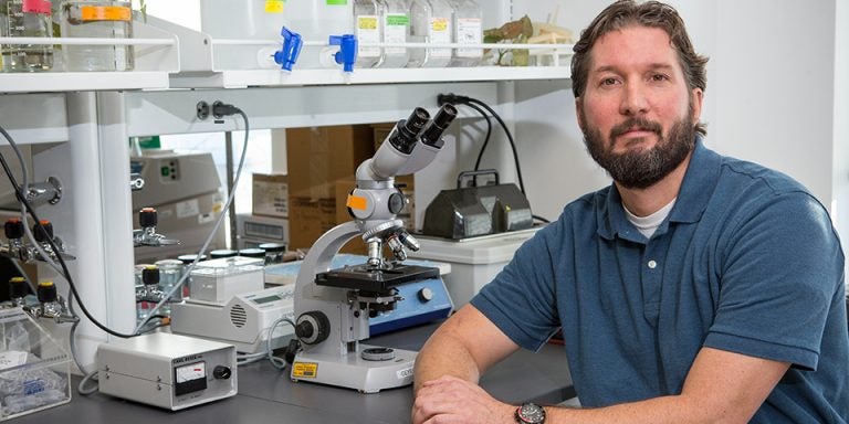 Dr. Christopher Geyer and his team at the Brody School of Medicine are researching the earliest stages of the male reproductive process. The results of the project could significantly advance understanding of how fertility is maintained throughout the male reproductive lifespan.