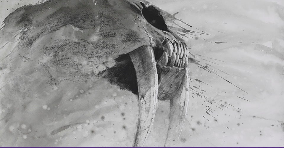 A sabretooth cat skull is one of the drawings by ECU School of Art and Design alumnus David Dodge Lewis to be displayed in a new exhibit opening Jan. 21 in ECU’s Wellington B. Gray Art Gallery. Lewis began using wax in large-scale works in the mid-1980s after adapting the techniques of 20th century English sculptor Henry Moore who used wax as a resist for ink washes on a small scale.