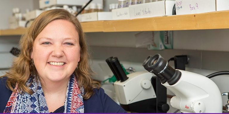 Elizabeth Ables, assistant professor of biology, has received an NIH grant to fund her lab's research into cell fate mechanisms. (Photos by Cliff Hollis)