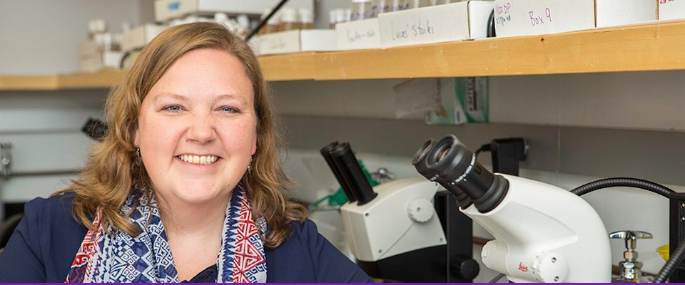 Elizabeth Ables, assistant professor of biology, has received an NIH grant to fund her lab's research into cell fate mechanisms. (Photos by Cliff Hollis)