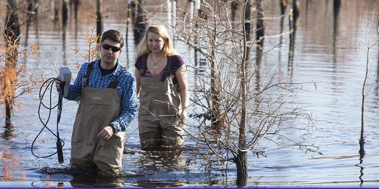 ECU biology professor Marcelo Ardón, foreground, and graduate student Tori Goehrig gather data for research on the intrusion of saltwater into freshwater sources along North Carolina's coastal plain. (Photos by Cliff Hollis)
