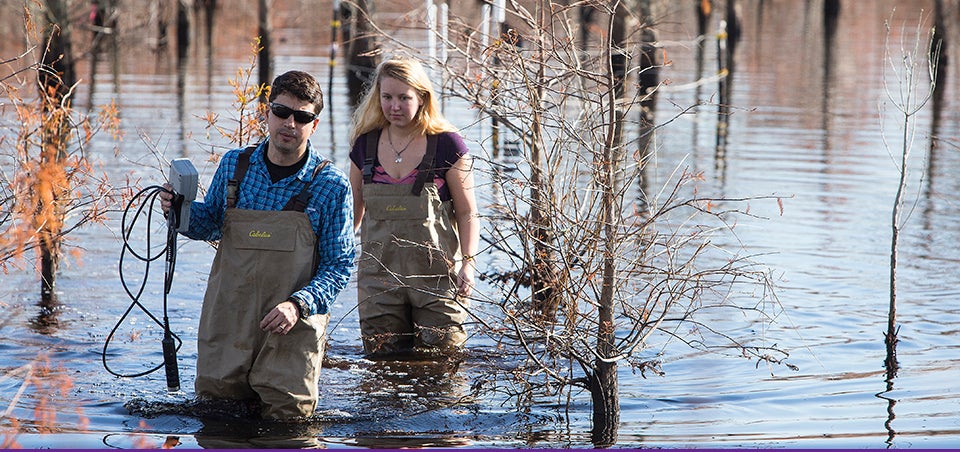 ECU biology professor Marcelo Ardón, foreground, and graduate student Tori Goehrig gather data for research on the intrusion of saltwater into freshwater sources along North Carolina's coastal plain. (Photos by Cliff Hollis)