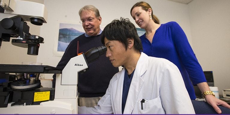 Left to right, Warren Knudson, Shinya Ishizuka and Emily B. Askew conduct research at the Brody School of Medicine in search for treatments to alleviate arthritis symptoms. (Photos by Cliff Hollis)