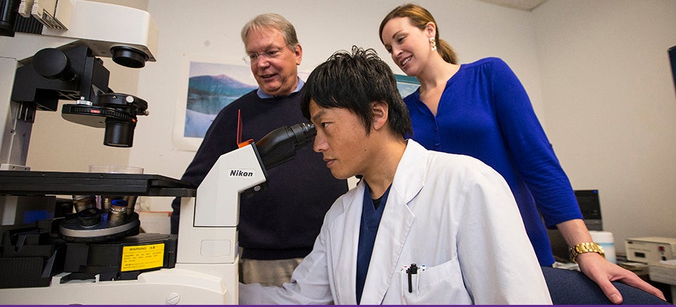 Left to right, Warren Knudson, Shinya Ishizuka and Emily B. Askew conduct research at the Brody School of Medicine in search for treatments to alleviate arthritis symptoms. (Photos by Cliff Hollis)