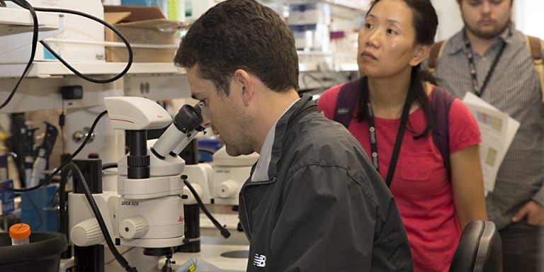 ECU alumnus Dan Kane, seated, prepares material for demonstration at the Mitochondrial Physiology School held on campus Aug. 10 - 13. Kane is assistant professor of human kinetics at St. Francis Xavier University, Nova Scotia, Canada. (Photos by Gretchen Baugh)