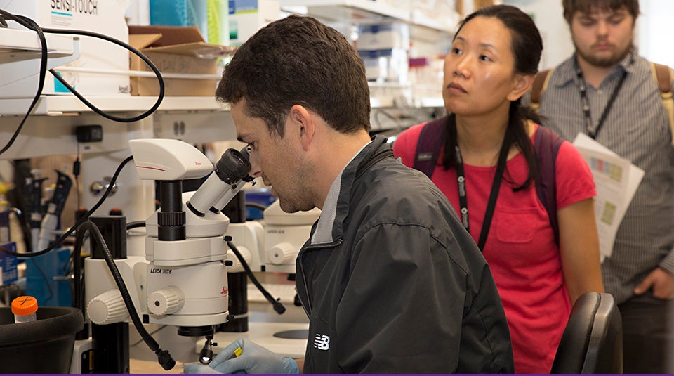 ECU alumnus Dan Kane, seated, prepares material for demonstration at the Mitochondrial Physiology School held on campus Aug. 10 - 13. Kane is assistant professor of human kinetics at St. Francis Xavier University, Nova Scotia, Canada. (Photos by Gretchen Baugh)