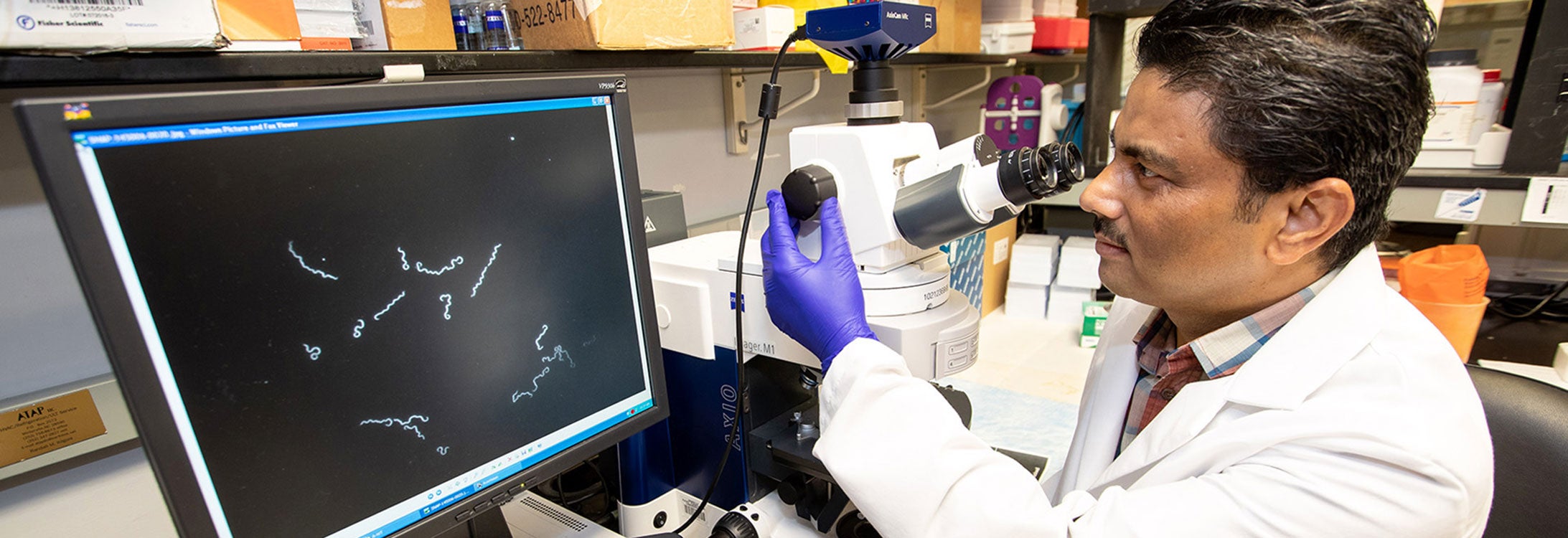 Dr. Motaleb views the bacteria that cause Lyme disease through a microscope