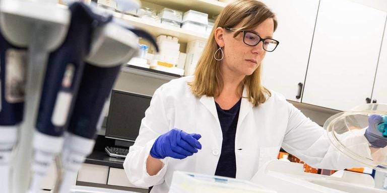 Dr. Kym Gowdy has received a $2.5 million grant to study the effect of pollution on the immune system. (Photos by Cliff Hollis)