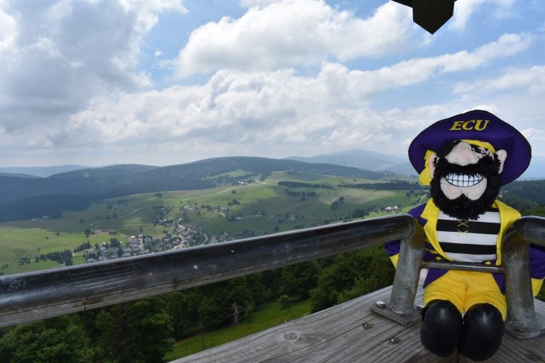 PeeDee takes a break and enjoys the view.