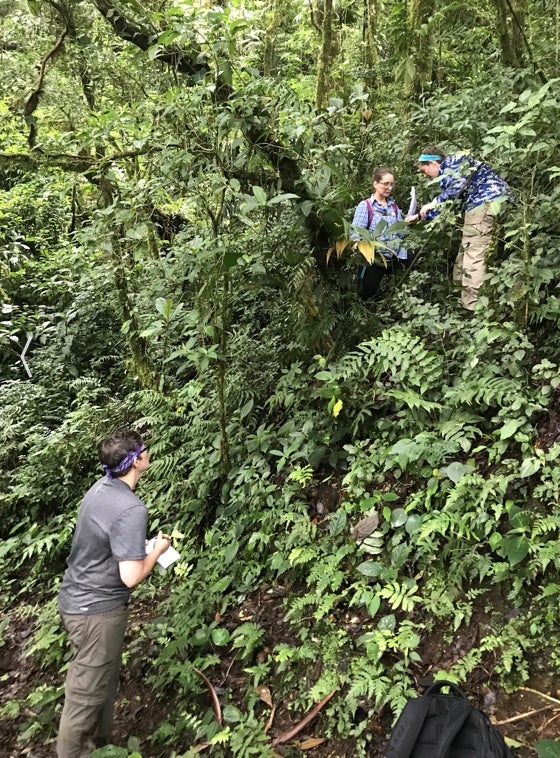 Grad students from the science education department during field work