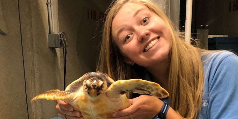 Student Emily Scott interned this summer at the North Carolina Aquarium at Fort Fisher.