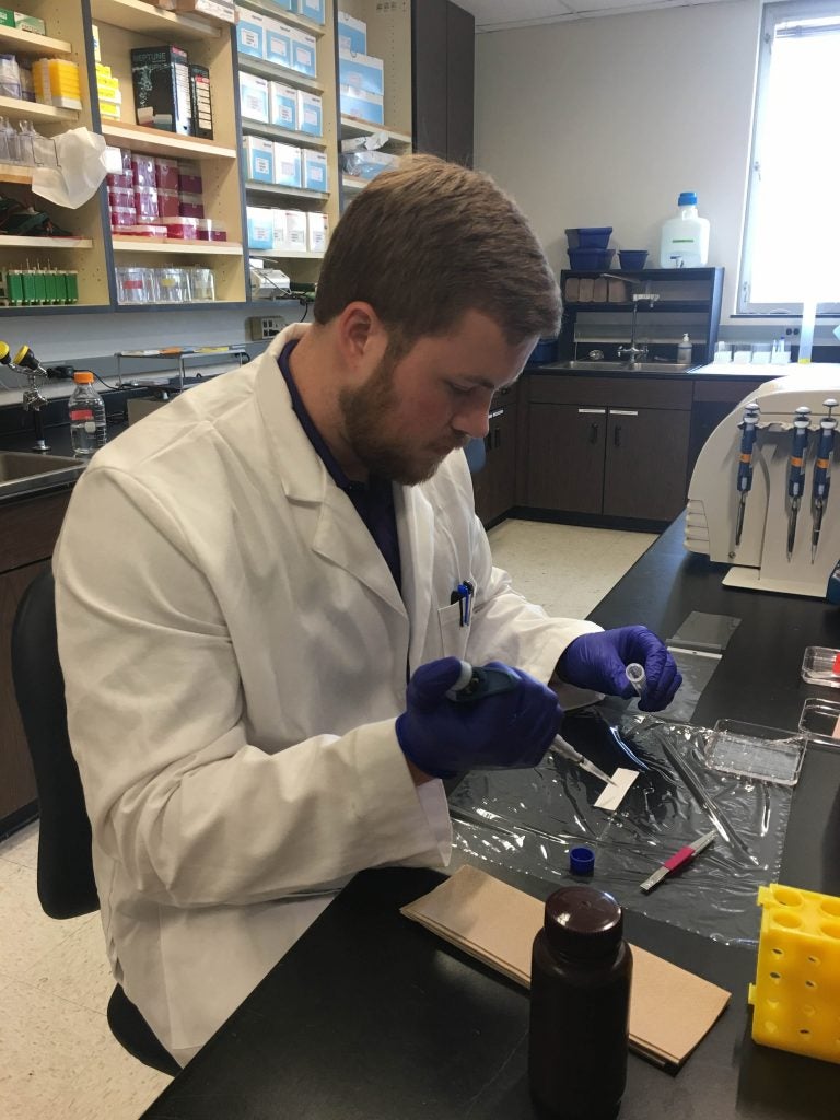 William Taylor, biochemistry and chemistry major: Brody School of Medicine Summer Biomedical Research Program