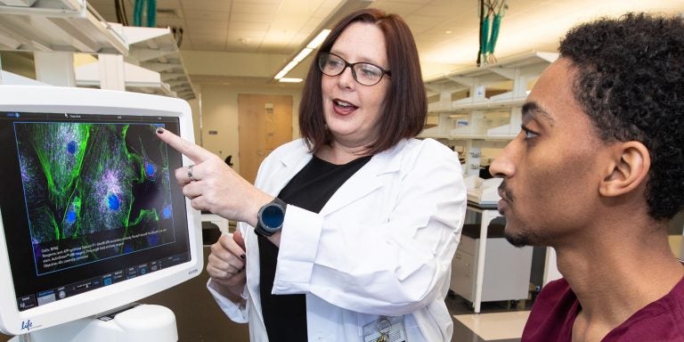 Dr. Shannon Wallet, associate professor in the Department of Foundational Sciences at the ECU School of Dental Medicine, studies the communication of the immune system in her quest to understand diabetes. Along with her own research, she mentors student researchers.