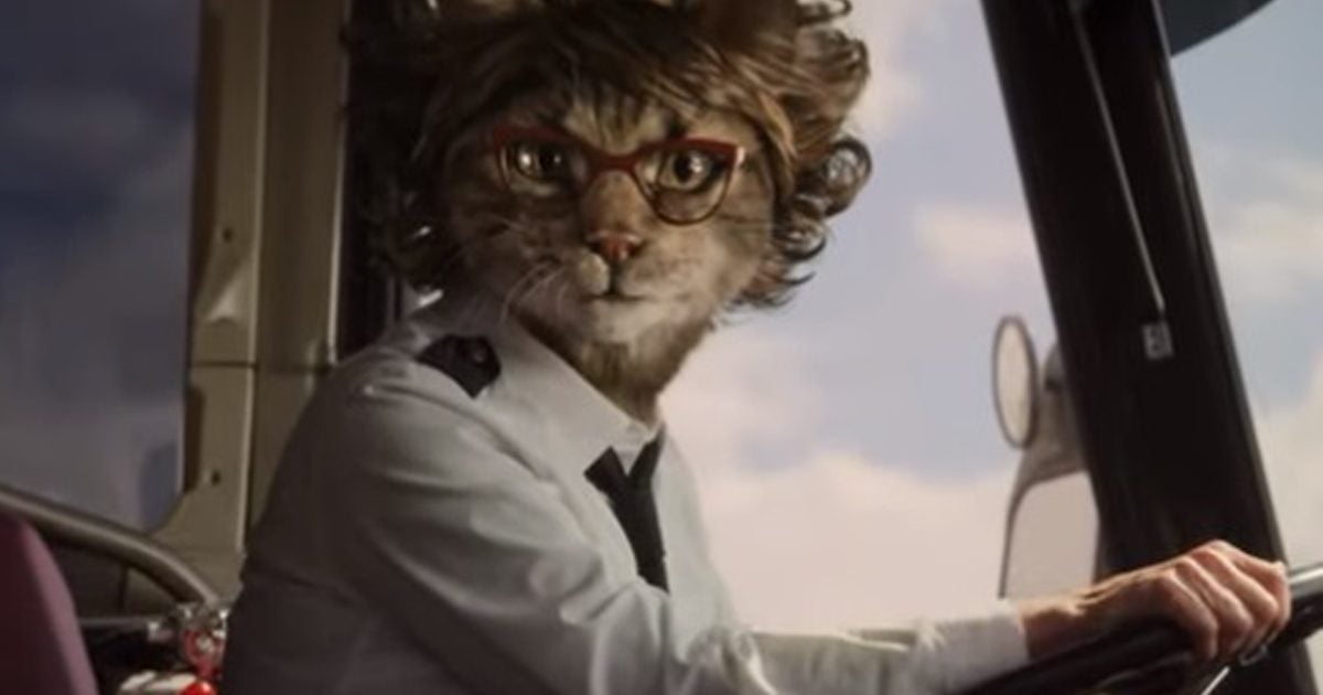 cats hulu