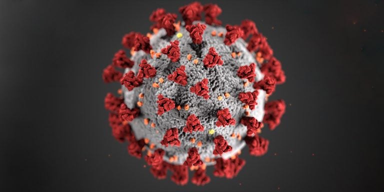 This illustration, created at the Centers for Disease Control and Prevention (CDC), reveals ultrastructural morphology exhibited by coronaviruses. (Contributed illustration)